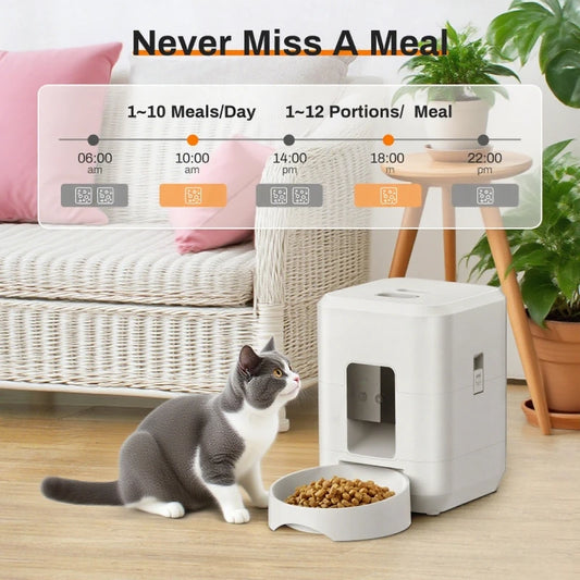 Cat sitting next to a white pet feeder with a bowl of food on a wooden floor, with a digital display showing feeding schedule.